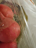 樱桃萝卜300g 实拍图