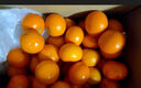 柏馋广西沃柑新鲜纯甜橘子当季时令水果桔子柑橘应季整箱正宗当季 精选5斤净重4.5斤 特大果70mm+ 实拍图