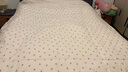 西域老棉匠 新疆棉花被芯绗缝包布被冬全棉被褥垫被手工加厚保暖天然单双人 实拍图
