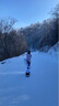 梦多福滑雪护臀护具小白熊护臀护膝全套小乌龟护屁股垫防摔滑雪滑冰装备 成人款【护臀+护膝】 小白熊加大加厚滑雪护具 实拍图