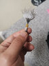 海科太空豆硅胶透明小号竿稍锁紧豆圆柱形橄榄型顶豆钓鱼用品配件 小号硅胶太空豆（1捆150粒） 实拍图