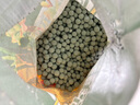 尚洋绿色大陶粒2.5kg(10mm)盆栽无土栽培铺面石垫底拌土透气养花肥 实拍图