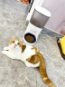 霍曼（Homerun）Real智能自动喂食器猫粮狗粮定时猫咪自动投食机（不锈钢碗） 晒单实拍图