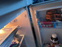 康佳102升小冰箱小型家用电冰箱双门冰箱二门两门 节能省电低音超薄 迷你宿舍租房BCD-102S 实拍图