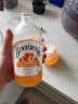 宾得宝（Bundaberg）含气菠萝椰子味饮料375ml*6瓶装 澳州原装进口发酵果汁气泡水 实拍图
