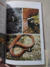 广东陆生毒蛇识别与防范（广东省陆生野生脊椎动物资源） 晒单实拍图
