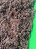 史丹利 椰糠砖椰土砖椰砖营养土脱盐花土耶砖种菜通用型 实拍图
