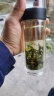 GIANXI智能显温玻璃杯双层泡茶杯高硼硅茶水分离杯夏季耐高温水杯 330ml 实拍图