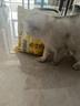 淘豆玩国混合豆腐猫砂 奶香2.3kg猫砂除臭低尘可冲厕所结团稳固 奶香味 奶香味*1包 实拍图