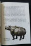 图文中国史 历史给人洞察一切的眼光给人超载时空的智慧 樊树志 中华书局 实拍图