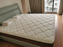 玮兰L5 山棕床垫天然乳胶独立弹簧高山棕榈护脊厚垫子双人名牌软床垫 外观25cm 1.8米*2米 实拍图