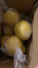 京鲜生安岳黄柠檬3斤 单果约150-200克新鲜水果 源头直发 晒单实拍图