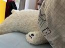 LIV HEART贵宾犬玩偶睡觉抱枕可爱狗狗毛绒儿童玩具陪睡公仔抱睡娃娃礼物女 米洛克贵宾犬牛奶白 L号（尺寸见详情） 实拍图