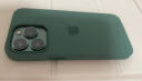 Apple 苹果13Pro原装手机壳硅胶壳MagSafe保护壳磁吸保护套液态硅胶纯色 桉叶绿色【新色】 适用于iPhone 13 pro 晒单实拍图