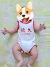 婧麒清华北大婴儿衣服夏季薄款包屁衣纯棉宝宝三角连体衣夏装两件装 短袖-蓝色【清华+北大】 73cm 实拍图