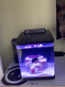 海享说 智能鱼缸海水缸 海洋生态缸珊瑚缸金鱼缸 免换水家用水族箱 15L 爵士黑+紫藻色造景石套餐 晒单实拍图
