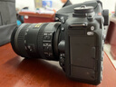 尼康（Nikon） D7500 数码 单反相机 入门单反  d7500 套机 18-200f/3.5-5.6G VR II 实拍图