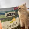 愛肯拿（ACANA）猫粮 草原家禽鸭肉无谷低敏高蛋白美国1.8kg效期2027/4 实拍图
