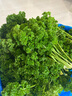 绿食者新鲜荷兰芹250g 法国香菜 旱芹菜 新鲜蔬菜 西餐火锅摆盘装饰材料 500g 实拍图