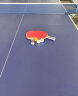 红双喜（DHS） 室内乒乓球台金彩虹TCH国际比赛球桌世乒赛乒乓球台乒乓球桌 LED赛事款（自带锂电池）+礼包 晒单实拍图