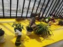 迅彩环氧树脂地坪漆水泥地面漆耐磨自流平地板漆室外油性地面漆油漆 中黄 5公斤=4kg主漆+1kg固化剂 实拍图