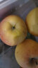 耀聪正宗新疆阿克苏冰糖心苹果新鲜水果礼盒装红富士时令丑苹果整箱 9斤 优质中果（75-80） 晒单实拍图
