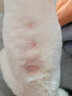 黄金点 宠物泰迪博美金毛法牛狗狗真菌猫癣皮肤病 猫用黄金点皮肤修复滴剂 0-10kg犬用(4支/盒) 实拍图