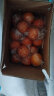 【已售220万斤】湖南麻阳脐橙 高甜无渣 果园现发 优质产区橙子 带箱9.6-10斤特大果 (70mm) 实拍图
