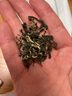 狗脑贡（GOUNAOGONG） 2025新茶上市湖南特产狗脑贡茶麒麟9号明前一叶绿茶条形礼盒50g 实拍图