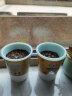 尚洋DIY儿童种植盆栽套装凤仙花种子学生植物观察杯幼儿园迷你小盆栽 晒单实拍图
