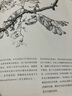 新森林志：讲述凝聚在树木中的生命历程，展现延续在森林里的人类文明 实拍图