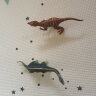 弥鹿（MiDeer）儿童软胶仿真恐龙玩具侏罗纪恐龙玩具恐龙世界-炫彩版8PCS儿童节礼物 晒单实拍图