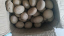 恩施小土豆新鲜马铃薯富硒农家黄心洋芋现挖蔬菜马铃薯 5斤 小果 乒乓球大小左右 实拍图