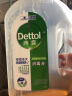 滴露（Dettol）消毒液消毒水衣物除菌液 衣服洗衣机地板杀菌消毒剂喷雾 非84酒精 【超值量贩】松木1.8L*3瓶 实拍图