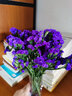 爱满（AIMAN）云南鲜花干花花束勿忘我情人草组合满天星客厅真花插花家居摆设 紫色勿+草【含圆花篮】 实拍图