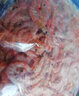 海鲜颂 红虾皮磷虾虾米海鲜干货虾仁煲汤熬粥 红毛虾 淡晒海产干货100g 实拍图