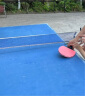 斯帝卡STIGA 乒乓球拍直拍单拍3星 兵乓球成品拍 粉色 短柄 实拍图
