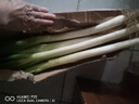 水果蔬菜 新鲜大葱 农家自产 新鲜蔬菜 5斤去皮大葱【净重5斤】 25000g 实拍图