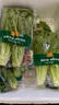 东升供港油麦菜300g 长叶莴苣 长生菜 炒菜 广州新鲜配送 实拍图