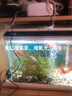 YEE鱼缸氧气泵增氧泵超轻音可调节气量充氧泵水族箱小型鱼缸增氧机 双孔8w+气盘套餐 实拍图