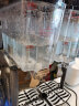 志高（CHIGO）饮料机商用双缸果汁机冷饮机冷热双温速溶饮料机 双缸单冷(单冷) 实拍图