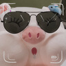 雷朋（RayBan）经典飞行员系列太阳镜男女款开车眼镜防晒户外墨镜0RB3026 L2821黑色镜框 绿灰色G15 尺寸62 实拍图