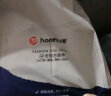 HONEYCARE狗狗纸尿裤大型母狗生理裤卫生巾月经裤S适用体重2-5kg12片3包装  实拍图