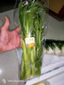 東昇供港斗白苗250g 矮脚奶白菜苗 火锅食材煲汤广州蔬菜新鲜配送 实拍图
