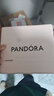 潘多拉（PANDORA）[618]银色圆梦手镯925银简约diy高级百搭情侣生日礼物送女友 银色圆梦手镯 19CM(建议120-130斤) 实拍图