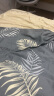 百丽丝水星家纺出品 床上四件套纯棉100%全棉被套床单套件被罩被单 晒单实拍图