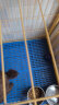 波奇多 狗笼脚垫67*53cm(2片装)塑料垫板宠物网格垫兔笼脚垫猫笼子垫板 晒单实拍图