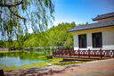 MEKE美科AF85mm f1.8全画幅镜头自动对焦人像镜头静音马达适用EF，E，Z，X，F卡口定焦镜头赠遮光罩 多规格卡口（自动对焦RF转接环） 实拍图
