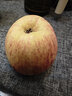 城南堡花山西运城红富士苹果2025年新果万荣冰糖心苹果山西特产新鲜水果 净重3斤【臻选好果】 实拍图