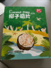 春光食品 海南特产 椰子脆片360g 椰子肉水果干办公室休闲零食60g*6袋 晒单实拍图